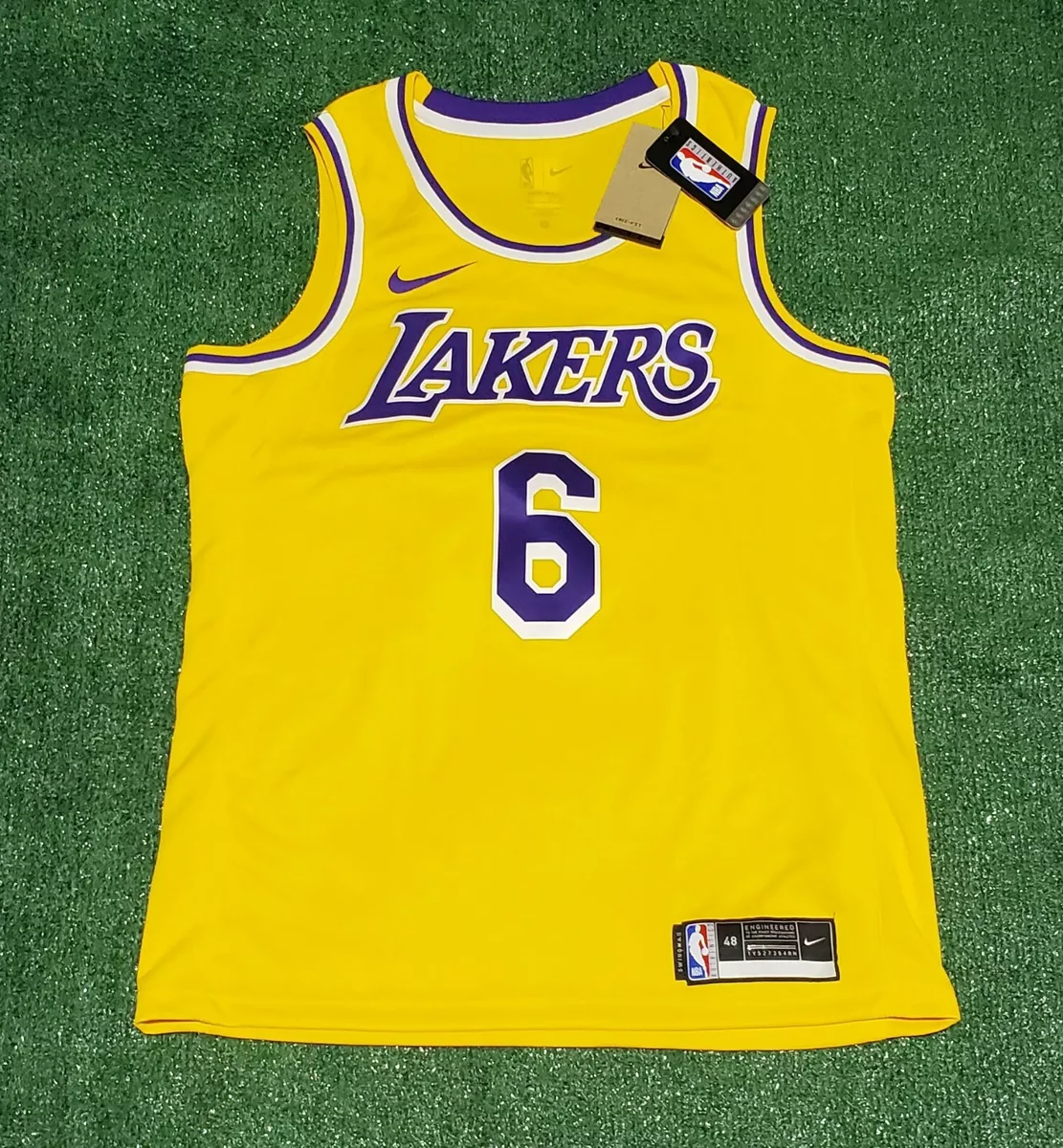 Nike NBA Los Angeles Lakers James #6 Swingman Jersey