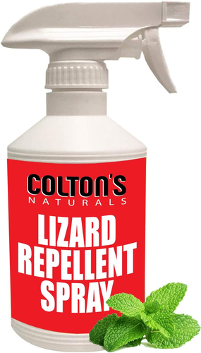 Lizard Repellent 32 OZ Spray 100% Natural Gecko Reptile Deterrent Outdoor or Ind - Picture 7 of 12