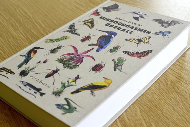 Thumbnail - Mikroorgasmen Überall Dominik Eulberg