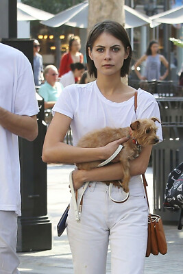 Willa Holland Foto Format 20x30 cm glanz #4