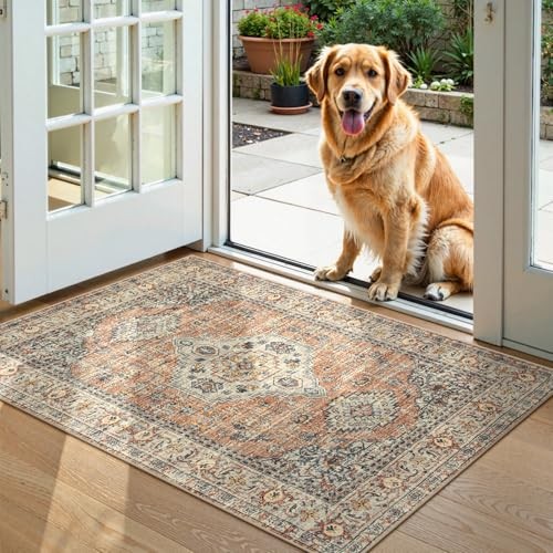 Orientalische Fußmatte Inneneingang, 2x3 2' x 3' (rechteckig) Terrakotta - Bild 3 von 7