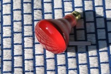 NEW 65w regular base BR30 RED R30 FLOOD LIGHT BULB 65 watt 65BR30 long life 130V
