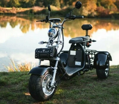 E-Scooter Scooter Elektroroller Roller mit Straßenzulassung StVZO Trike Chopper - Bild 1 von 4