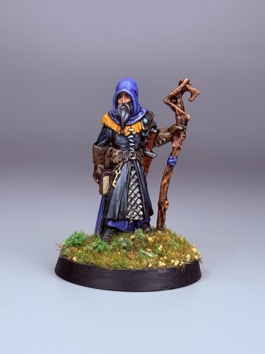 Painted Vodelis Human Wizard Reaper Miniatures Dungeons & Dragons RPG Minis
