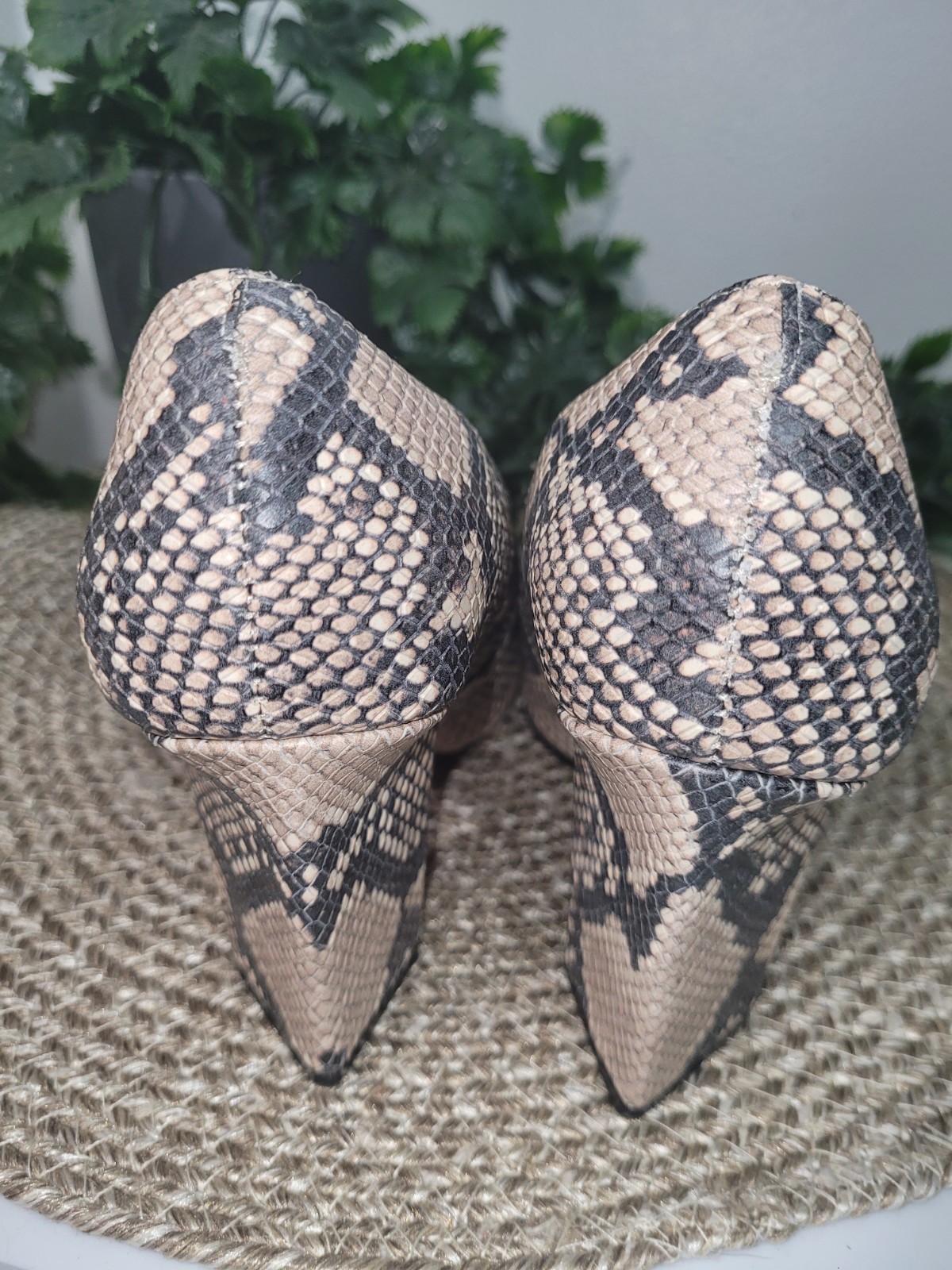 VINCE CAMUTO Snake Python Candera Triangle Block … - image 5