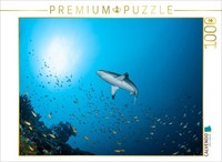 Calvendo Puzzle Gray Reef Shark | 1000 Pieces, Finished Size 25.2 × 18.9 In (64