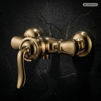 PaulGurkes Gold Duscharmatur Aufputz Retro Nostalgie Mischbatterie