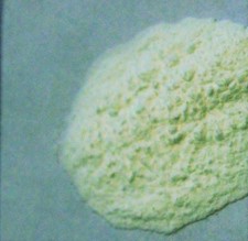 Polvo de raíz de flecha