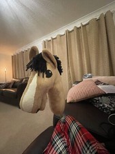 Hobby horse