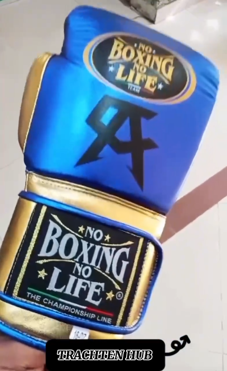 Customized Handmade Canelo No Boxing No Life Boxing Gloves | BLUE