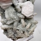 Foto 12 di 14