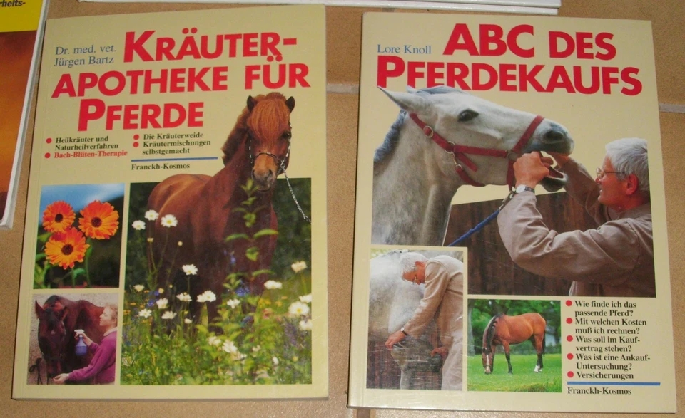 19 Pferdebücher Reiten Pferd Dressur Zucht Haltung Sport Longieren Bücherpaket - Bild 2 von 4