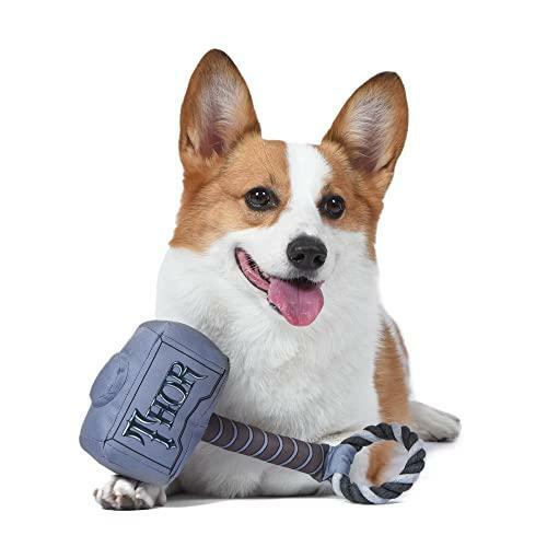 thor dog toy