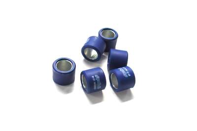 242.331 ROLLEN 19X15,5 G. 3,4 POLIG: ERSATZTEILE VARIATOR Kit mit 6 Stück