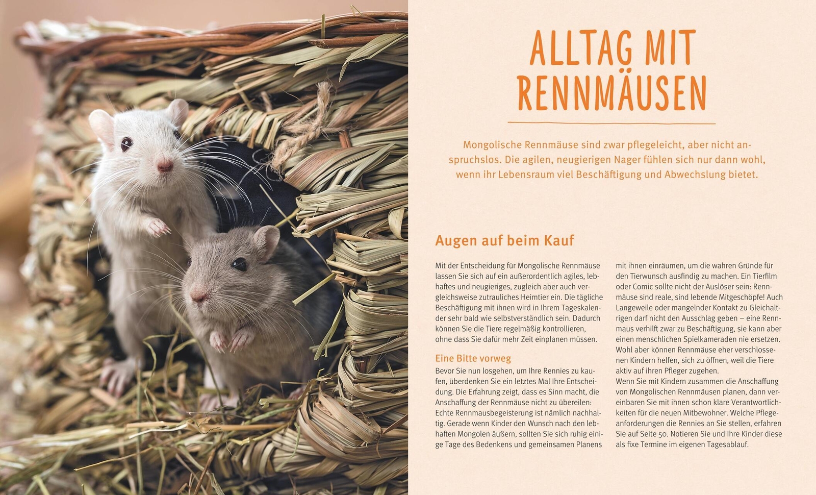 Thumbnail - Rennmäuse Engelbert Kötter 9783833848476