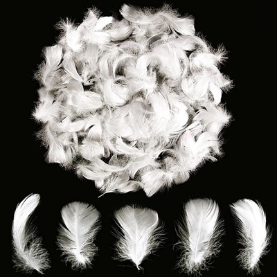 Lamar 300Pcs 2-3'' White Feathers Bulk for Crafting, Dream Catcher Accessorie...
