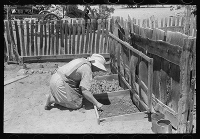 Pie Town,New Mexico,NM,Catron County,Farm Security Administration,FSA,1940,83