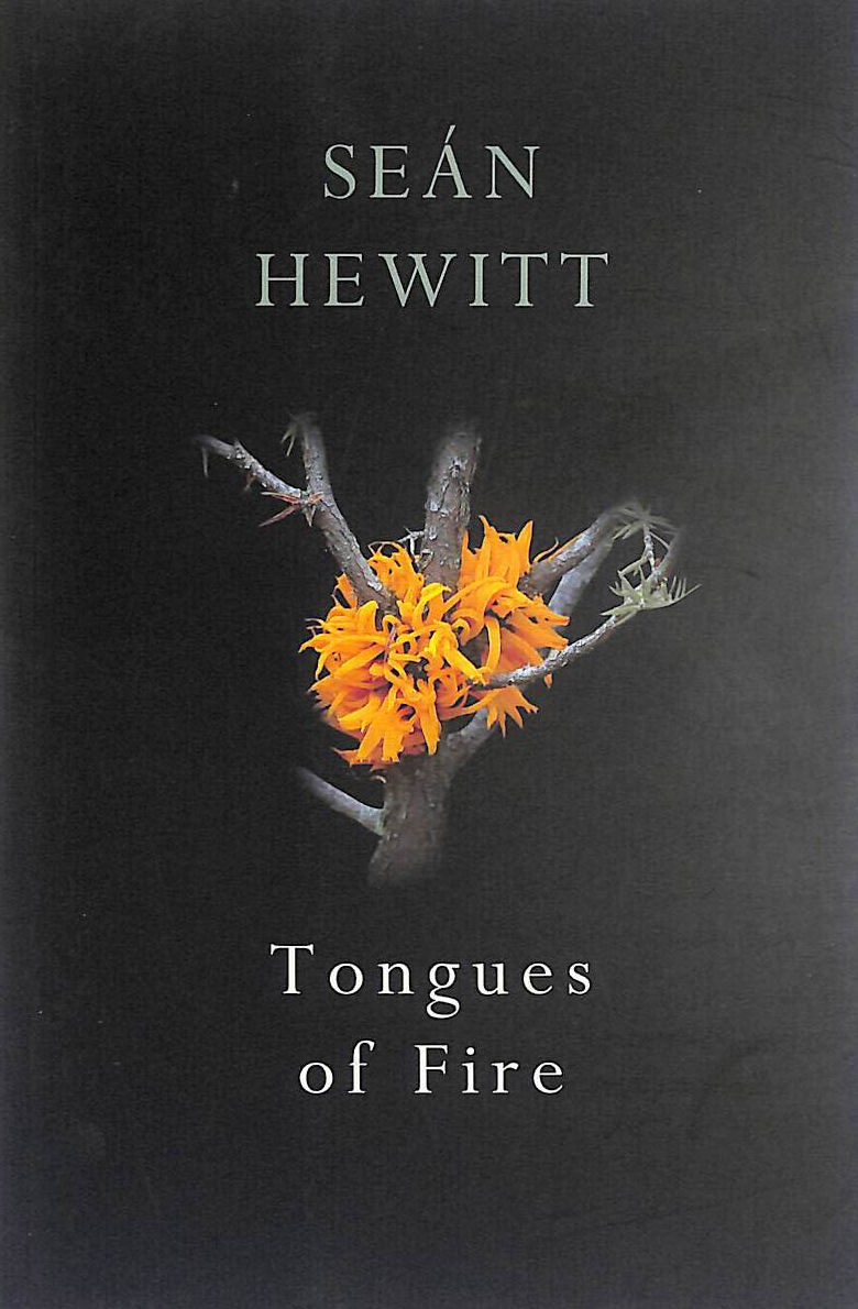 Tongues of Fire by Hewitt, Seán