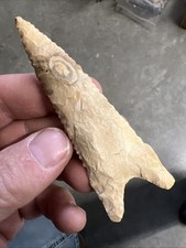 Indian Arrowhead 3 9/16” Long Bullseye Dalton From Cross County Arkansas @504