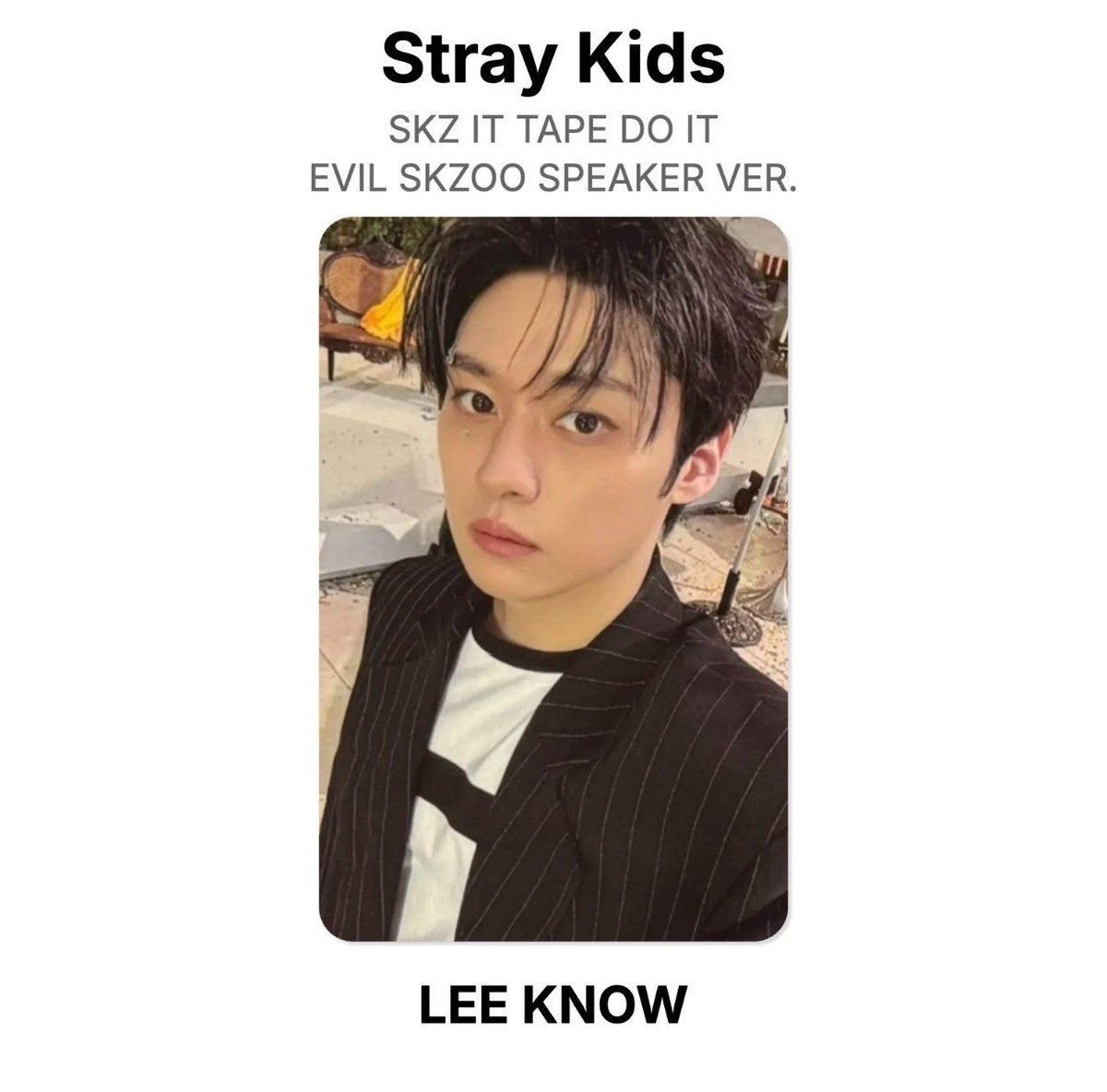 Stray Kids SKZ DO IT evil SKZOO speaker ver. official photocard PC