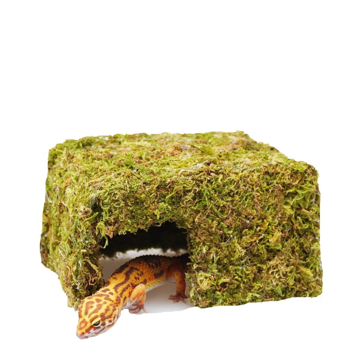 Leopard Gecko Tank Accessories Cute Reptile Hideout Cave Essential