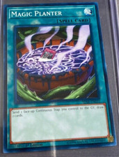 Yugioh! Magic Planter - SDSB-EN031 - Common - 1st Edition Near Mint, English
