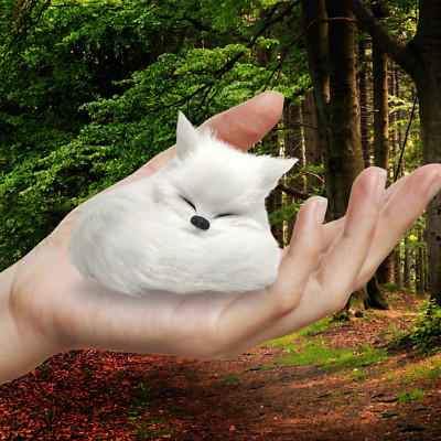 3 Stück Realistische Fuchs Figur Mini Plüschtier Tier Wald Deko Sammlerstück