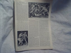 1951 ROCKY MARCIANO KNOCKING OUT JOE LEWIS ARTICLE ONLY, Madison Square Garden — photo 2