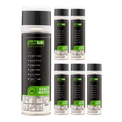 Autotek Exact Match schnelltrocknender Aerosol-Sprühlack Ford graphitgrau 300 ml x6