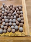 Indian Marbles/Hotshots? — photo 4