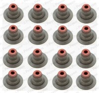 Payen Dichtungssatz, Ventilschaft U.A. FüR Alfa Romeo, Chevrolet, Daewoo, Fiat