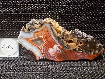 ''STUNNING'' Flower of Peach Agate Slab for Cab/Collect, Stunning Colors Mexico