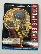 1996 ACCOUTERMENTS FOR ANATOMY INCREDIBLE GROWING BRAIN New in Package