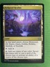 Eclipsed Realms - Lorwyn Eclipsed Magic MTG NM