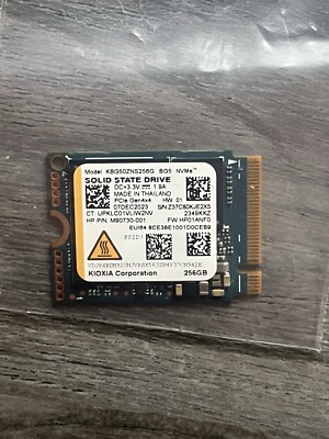 KIOXIA 256GB SSD BG5 M.2 2230 NVMe PCIe Gen4x4 KBG50ZNS256G