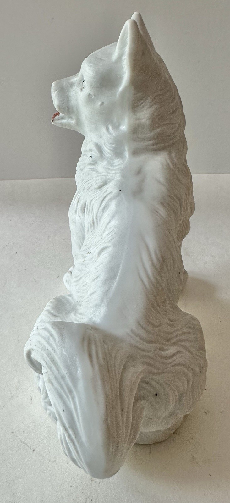 Picture 5 of 5