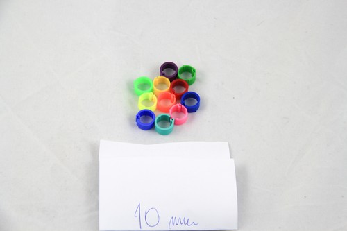 Taubenringe 10 mm Fußring Taub Clipsringe Tauchringe Fingerring Hühner 100 Stück - Bild 6 von 9
