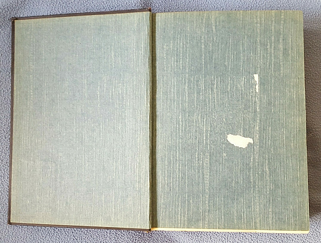 Picture 10 of 10