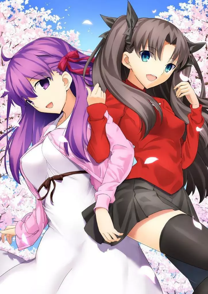 Fate/stay night (Rin Tohsaka, Sakura Matou) - Minitokyo