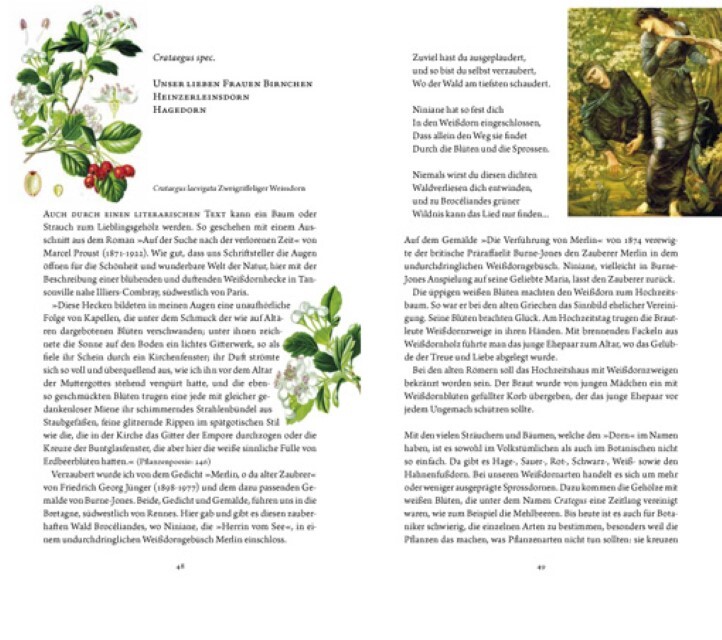 Thumbnail - Rosemarie Gebauer / Frau Haselin Und Drecksäck9783887473372