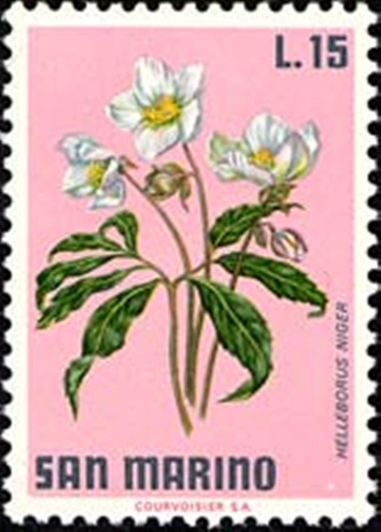 Picture 14 of 15