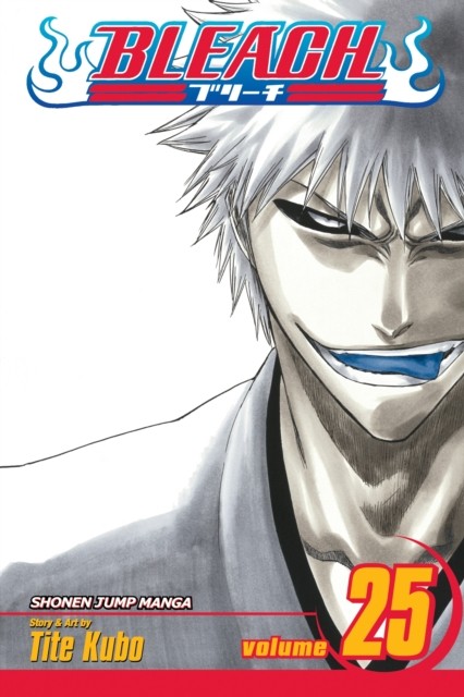 Bleach Vol. 25 by Tite Kubo PAPERBACK 9781421517964 - Image 3