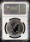 2014 Canada $5 Silver 1 Oz 0.9999 Fine Silver coin, Bald Eagle, NGC ER MS 69! — photo 4