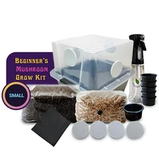 Small Beginners Mushroom Grow Kit | Indoor Grow Kit w/ Bulk Substrate