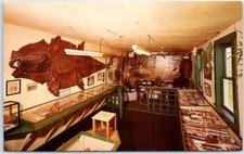 Postcard - Perry's Tropical Naut House - Rout 1, Belfast, Maine