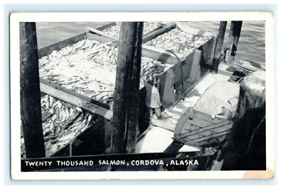 Twenty Thousand Salmon Cordova Alaska Early Postcard View - Northwest Magazine