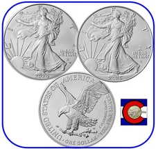 2024-2025 Silver American Eagle (SAE) Privy Coins:  Star & Eagle in Capsules