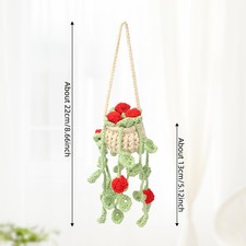 Crochet Plant Holder Hanging Light Green with Trailing Red Rose Buds Indoor Home