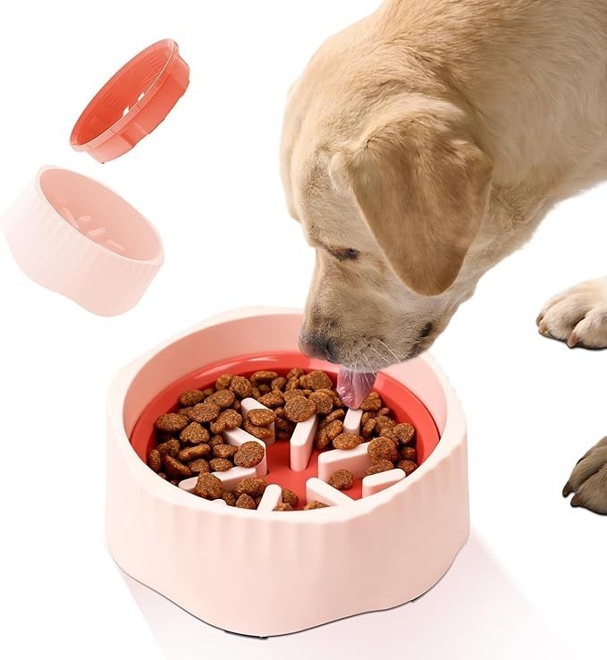 Feeding Bowl