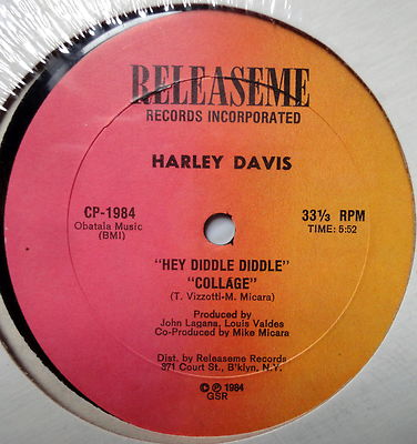 HARLEY DAVIS Hey Diddle Diddle Collage 12'' Disco Single 33 RPM SEALED